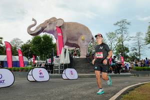 BIB: 
                            <button type="button" onclick="openModal(26528973)" class="btn btn-primary btn-sm float-right btn-popup" data-toggle="modal" data-target=".modal-high-quality">
                        <i class="fas fa-shopping-cart"></i> Add to Cart
                    </button>
                                            <button type="button" onclick="isThisMe(26528973, true)" class="btn btn-success btn-sm float-right btn-popup btn-isme hidden" data-toggle="tooltip" data-placement="bottom" title="นี่คือรูปของคุณใช่ไหม คลิกที่นี่เพื่อเอาเข้าอัลบั้ม">
                        <i class="fas fa-plus"></i> Add to album
                    </button>
                    <button type="button" onclick="isThisMe(26528973, false)" class="btn btn-warning btn-sm float-right btn-popup btn-isnotme hidden">
                        <i class="fas fa-ban"></i> Remove from album
                    </button>